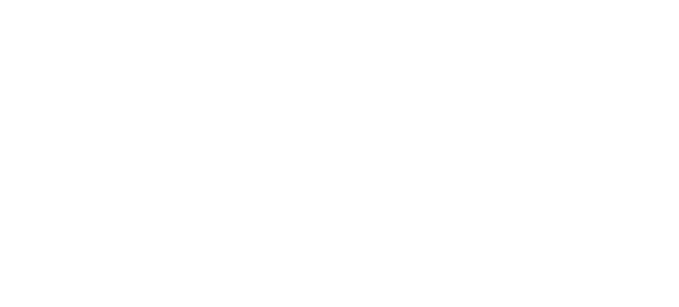 core values