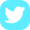 twitter logo